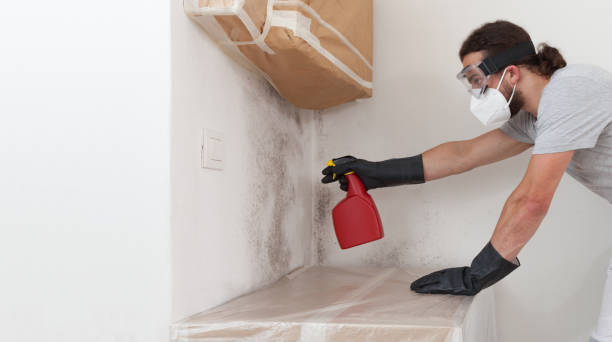 Professional Basement Mold Removal technician working in Mantua, NJ