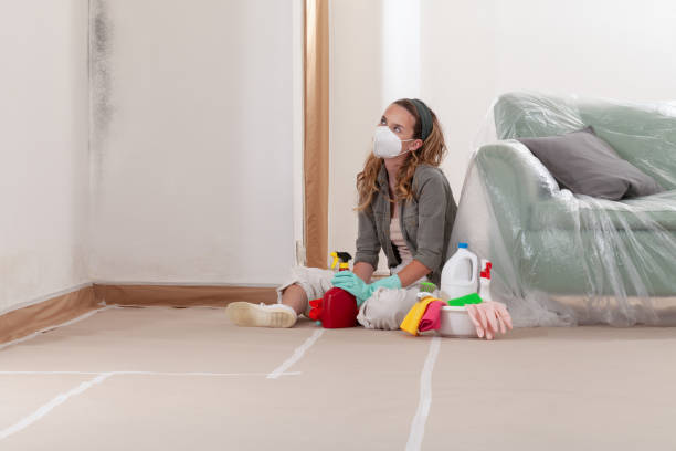 Reliable Basement Mold Removal contractor in Mantua, NJ by WQB Mold Removal